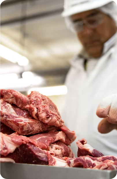 Food Handler Medicals